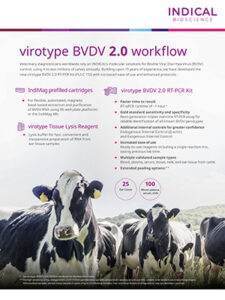 virotype BVDV 2.0